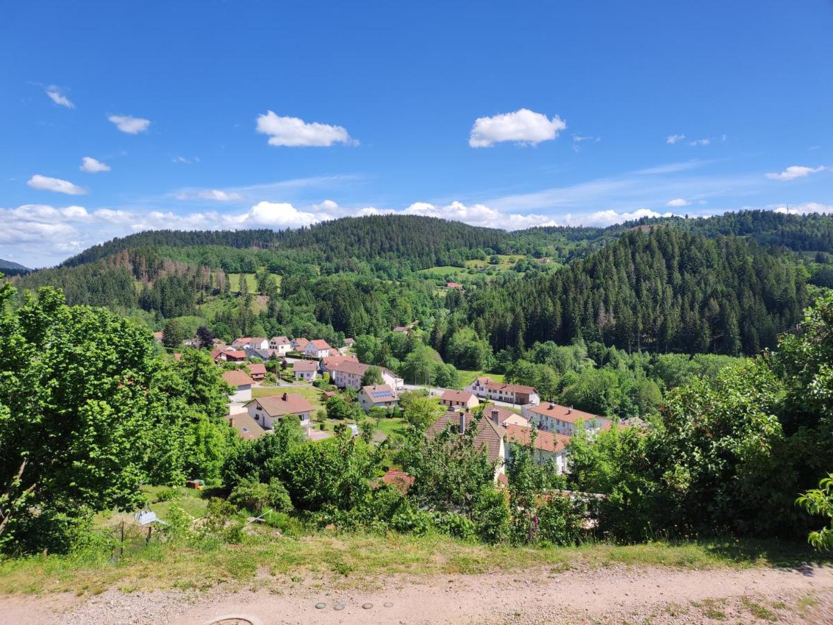 Appartement Au Centre Du Tholy Pour 5 Personnes Maximum 勒索里 外观 照片
